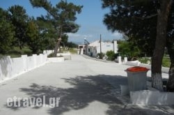 Ioanna in Gavrio, Andros, Cyclades Islands