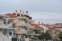 Kiwi in Haniotis - Chaniotis , Halkidiki, Macedonia