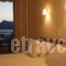 Niovi Studios_accommodation_in_Hotel_Central Greece_Evia_Edipsos