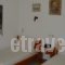 Zozas Rooms_best deals_Room_Thessaly_Trikala_Kalambaki