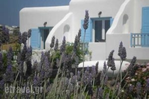 Rinoula's_best deals_Room_Thessaly_Magnesia_Mouresi