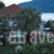 Villa Makis_holidays_in_Villa_Ionian Islands_Lefkada_Vasiliki