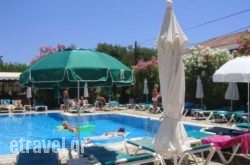 Cactus in Stegna, Rhodes, Dodekanessos Islands