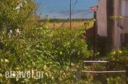 Velendzas Holidays in Zakinthos Rest Areas, Zakinthos, Ionian Islands