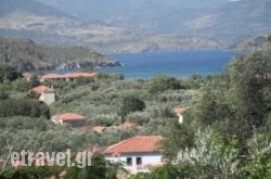 Irini Studios in  Paralia Skotinas, Pieria, Macedonia