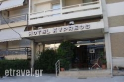 Kypreos in  Kamena Vourla , Fthiotida, Central Greece