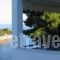 Gorgona Hotel_lowest prices_in_Hotel_Sporades Islands_Alonnisos_Patitiri