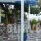 Agriolykos Pension_best prices_in_Hotel_Aegean Islands_Ikaria_Agios Kirykos