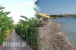 Alfa in Naxos Chora, Naxos, Cyclades Islands