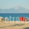 Oreos Appartments_best deals_Room_Macedonia_Halkidiki_Sarti
