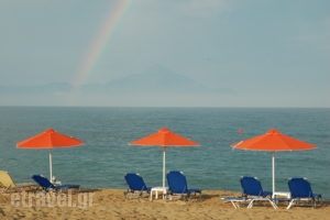 Oreos Appartments_holidays_in_Room_Macedonia_Halkidiki_Sarti