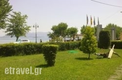 Violetta in Akrotiri, Sandorini, Cyclades Islands