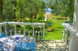 Studios Pelagos in Paros Chora, Paros, Cyclades Islands