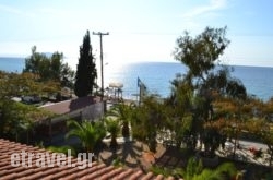 Regos in Agia Anna , Evia, Central Greece