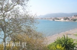 Pension Afroditi in  Areopoli, Lakonia, Peloponesse