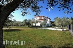 Forty Roses in Athens, Attica, Central Greece