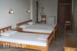 Alexander in Sandorini Rest Areas, Sandorini, Cyclades Islands