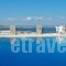 Alex Hotel_holidays_in_Hotel_Cyclades Islands_Mykonos_Mykonos ora
