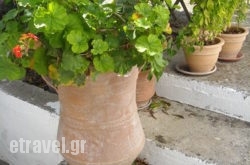 Isabella in Naxos Chora, Naxos, Cyclades Islands