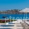DeLight Boutique_holidays_in_Hotel_Cyclades Islands_Mykonos_Mykonos Chora