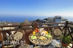 Iris in Ios Chora, Ios, Cyclades Islands