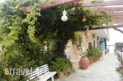 Camelia in Thessaloniki City, Thessaloniki, Macedonia