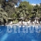 Arvanitis Studios_best deals_Room_Cyclades Islands_Sandorini_Sandorini Chora