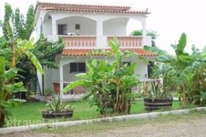 Banana Place_accommodation_in_Hotel_Peloponesse_Ilia_Zacharo