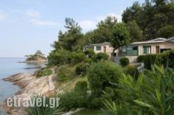 Roula in Ammoudara, Heraklion, Crete