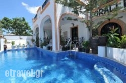 Koralli in Mykonos Chora, Mykonos, Cyclades Islands