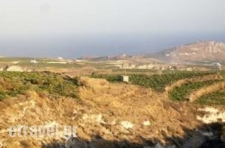 Zorbas in Pyrgos, Sandorini, Cyclades Islands