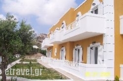 Anemones in Iraklia Chora, Iraklia, Cyclades Islands