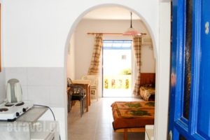 Pavlis Studios_holidays_in_Hotel_Aegean Islands_Samos_Kambos