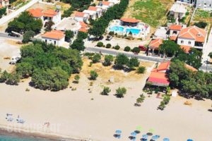 Pavlis Studios_accommodation_in_Hotel_Aegean Islands_Samos_Kambos