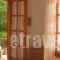 Nina Studios_best deals_Room_Sporades Islands_Skopelos_Stafylos