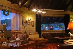 Pindos Resort_travel_packages_in_Epirus_Ioannina_Metsovo