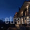 Grand Village Boutique Inn_accommodation_in_Hotel_Central Greece_Evritania_Megalo Chorio