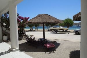 Albatross_lowest prices_in_Hotel_Cyclades Islands_Serifos_Serifos Chora