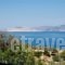 Cavo Petra_best deals_Room_Piraeus Islands - Trizonia_Trizonia_Trizonia Rest Areas