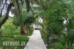 Menelaos Apartments in Paros Chora, Paros, Cyclades Islands