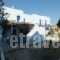 Villa Melina_accommodation_in_Villa_Cyclades Islands_Paros_Piso Livadi