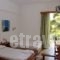 Zontanos Studios_holidays_in_Room_Piraeus Islands - Trizonia_Poros_Poros Chora
