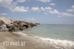 Sofoklis in Apollonia, Sifnos, Cyclades Islands