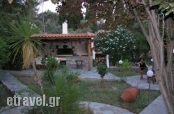 Green Paradise in Pilio Area, Magnesia, Thessaly