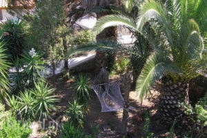 Green Paradise_holidays_in_Apartment_Central Greece_Evia_Nea Stira