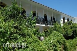 Pegasus in Pythagorio, Samos, Aegean Islands