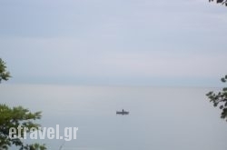 Kleanthis Blue in Galissas, Syros, Cyclades Islands